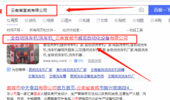 宣威市*龍自動化設備有限公司網(wǎng)站建設有創(chuàng)意的主題設計