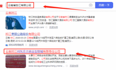 云南怒江州東*大峽谷生物城有限責(zé)任公司網(wǎng)站建設(shè)新一代自助建站、智能建站系統(tǒng)