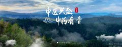 普洱淞*醫(yī)藥集團(tuán)有限公司網(wǎng)站建設(shè)新一代自助建站、智能建站系統(tǒng)