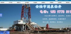 安陸市涌*鉆井工程有限公司制作網(wǎng)站營(yíng)銷(xiāo)型案例作品
