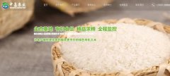 豐城市中*農(nóng)業(yè)發(fā)展有限公司網(wǎng)站建設(shè)新一代自助建站、智能建站系統(tǒng)