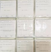 企業(yè)網(wǎng)站設計：個性化與整體性的完美融合