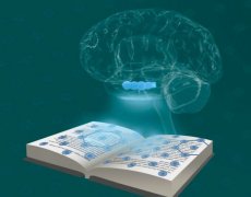 掌握網(wǎng)站SEO優(yōu)化更新，解鎖流量密碼